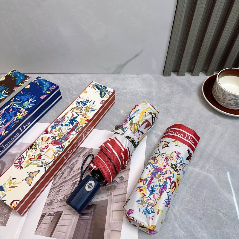 Dior Umbrella hm (57)