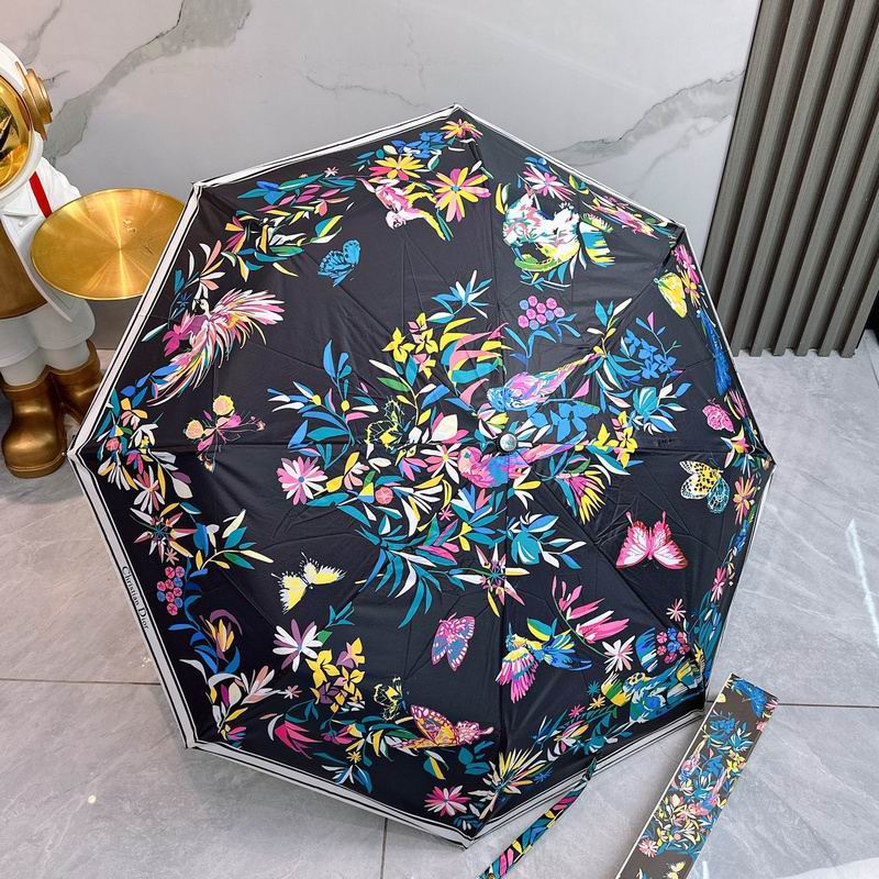 Dior Umbrella hm (62)