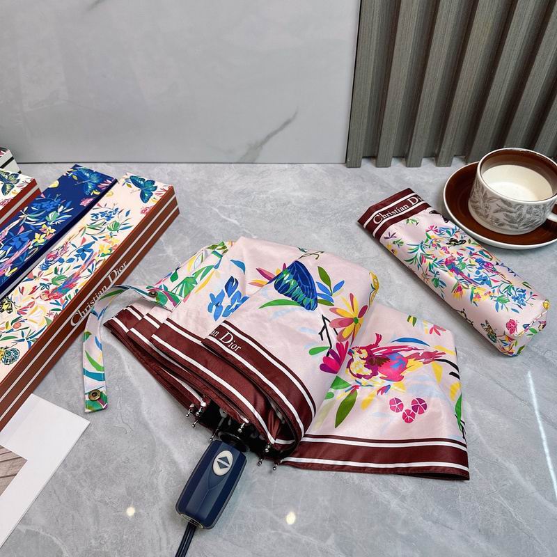 Dior Umbrella hm (64)