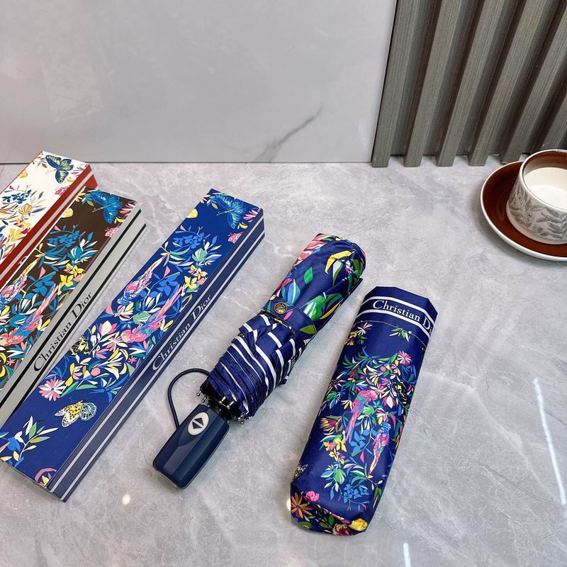 Dior Umbrella hm (66)