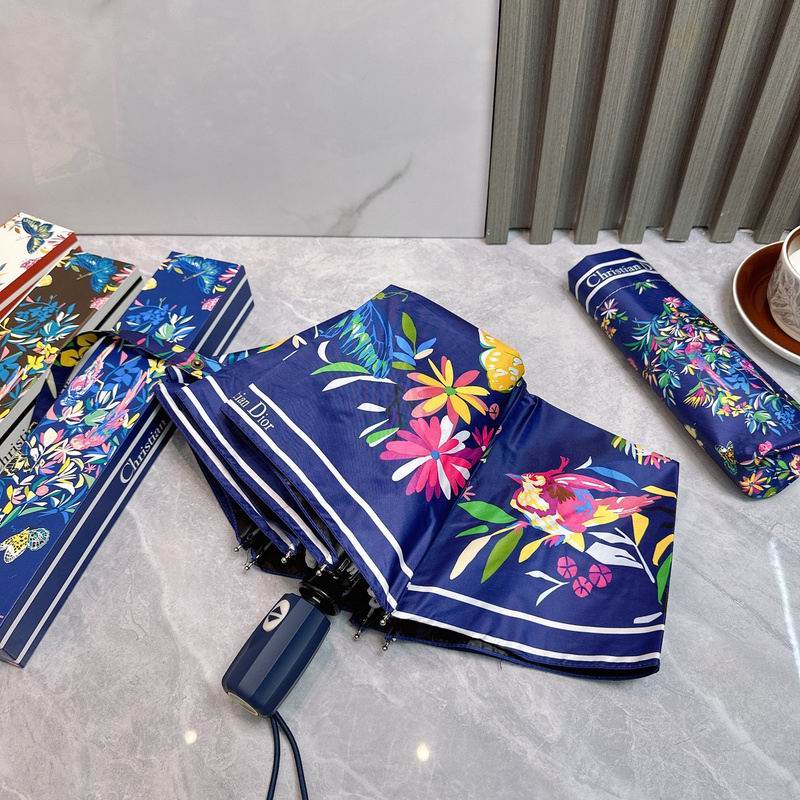 Dior Umbrella hm (67)