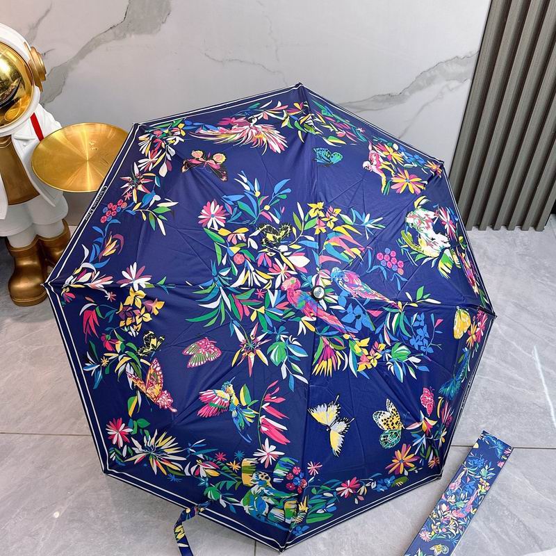Dior Umbrella hm (68)