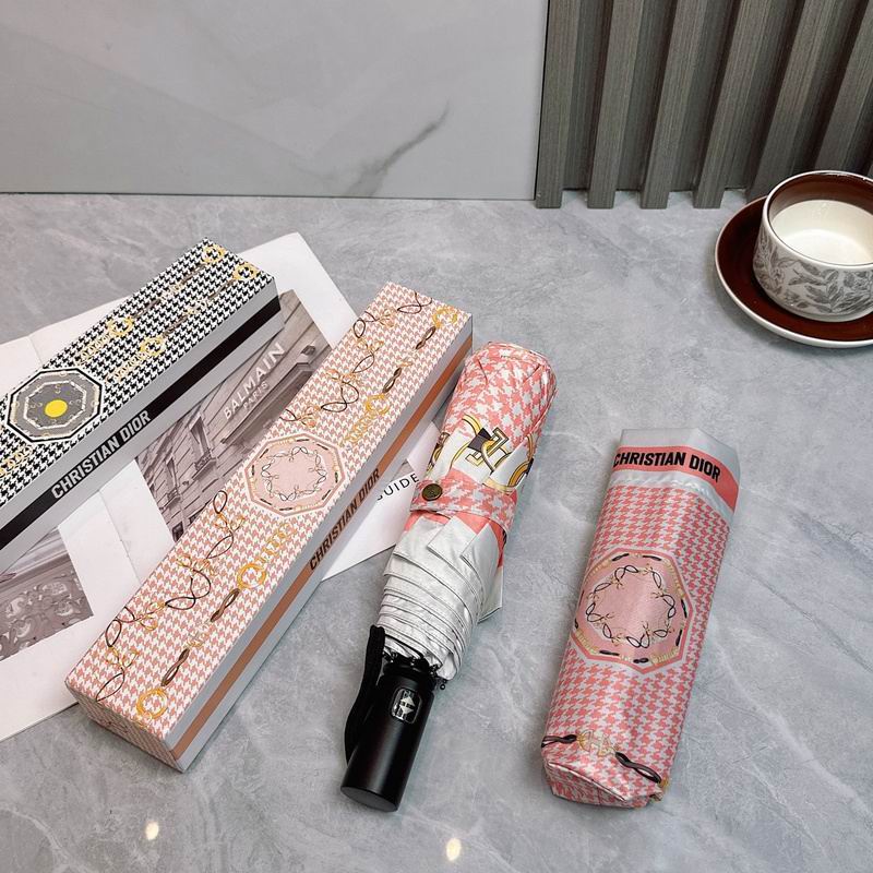 Dior Umbrella hm (70)
