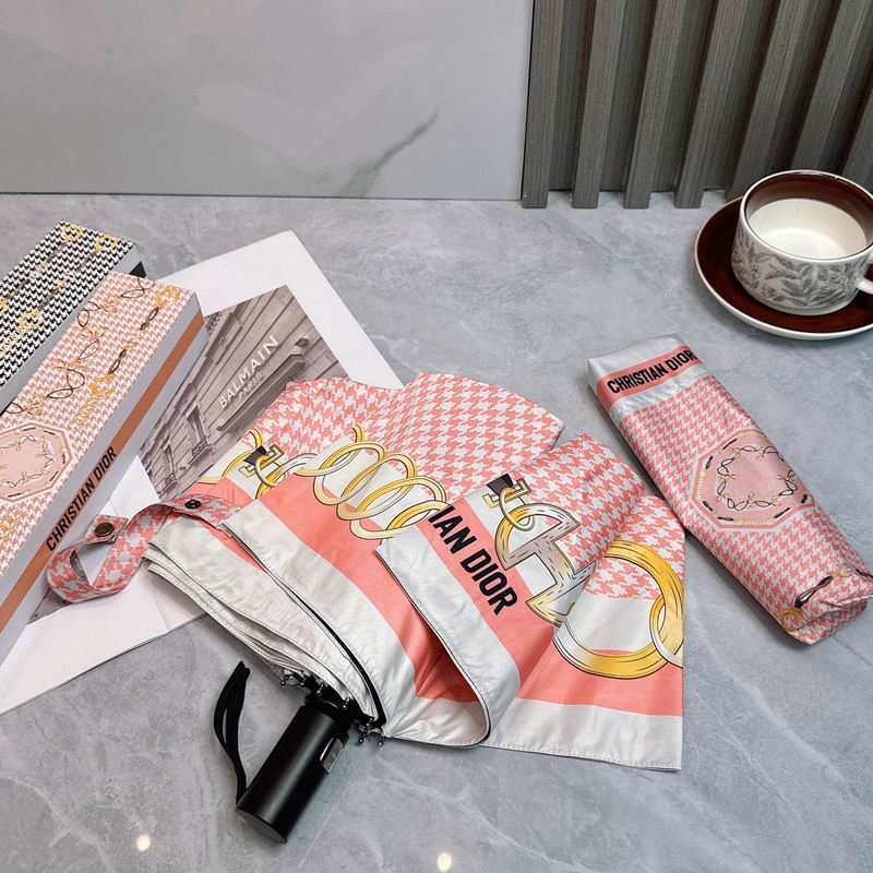Dior Umbrella hm (71)