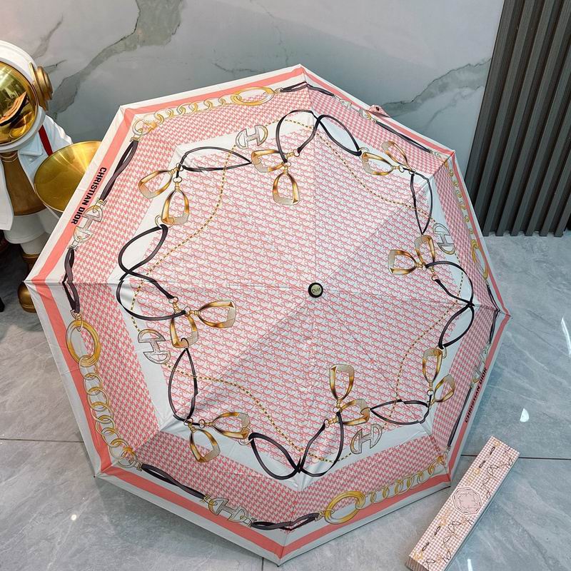 Dior Umbrella hm (72)