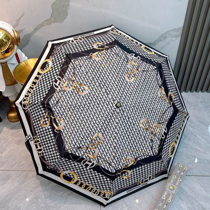 Dior Umbrella hm (75)