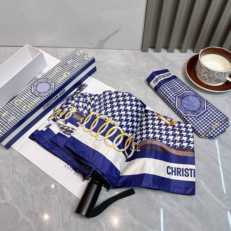 Dior Umbrella hm (77)