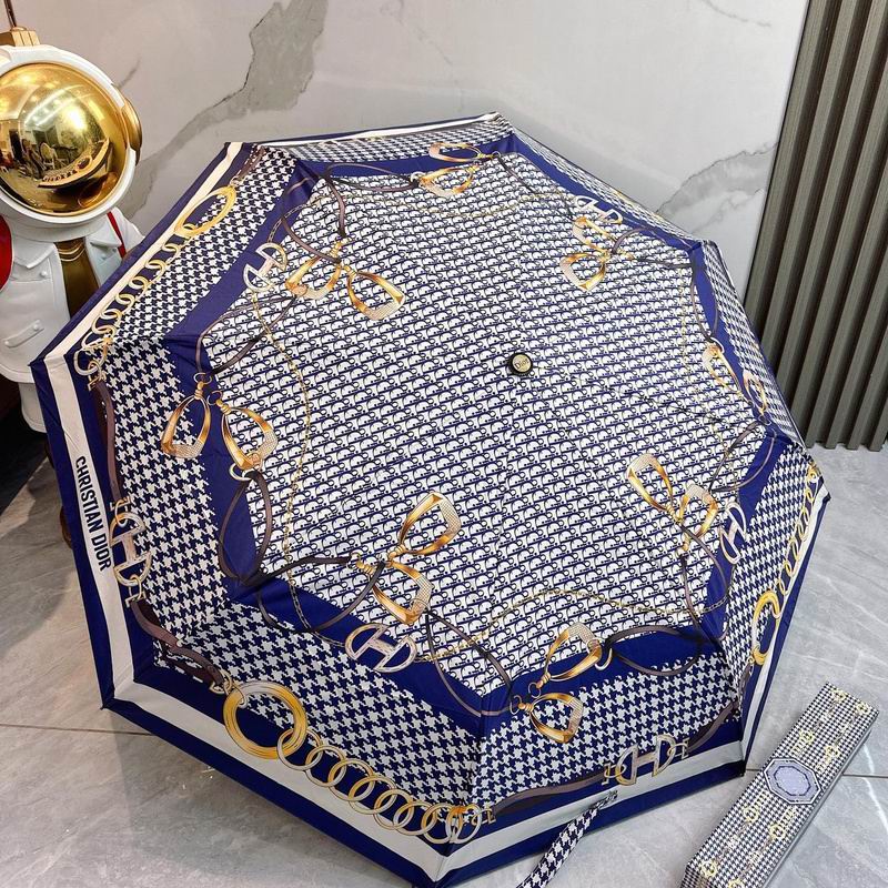 Dior Umbrella hm (78)