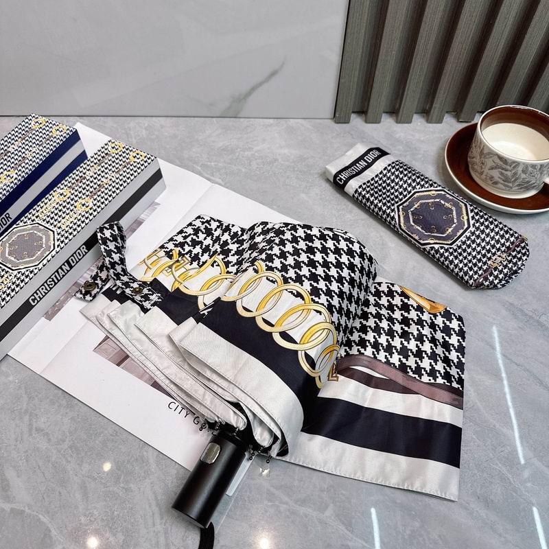 Dior Umbrella hm (80)