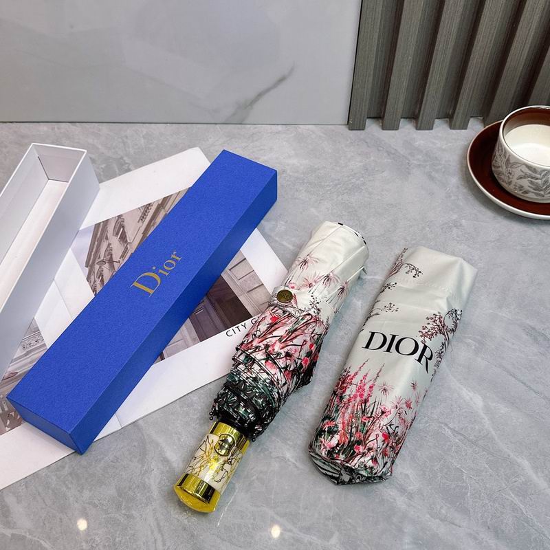 Dior Umbrella hm (82)