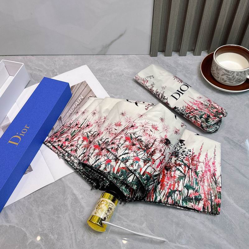 Dior Umbrella hm (83)