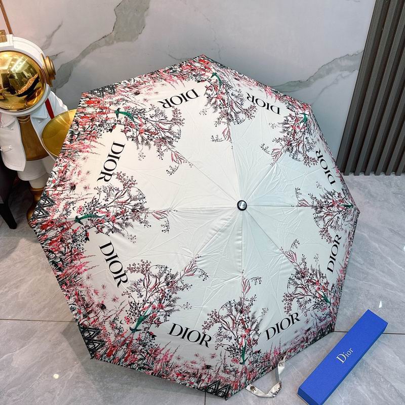 Dior Umbrella hm (84)