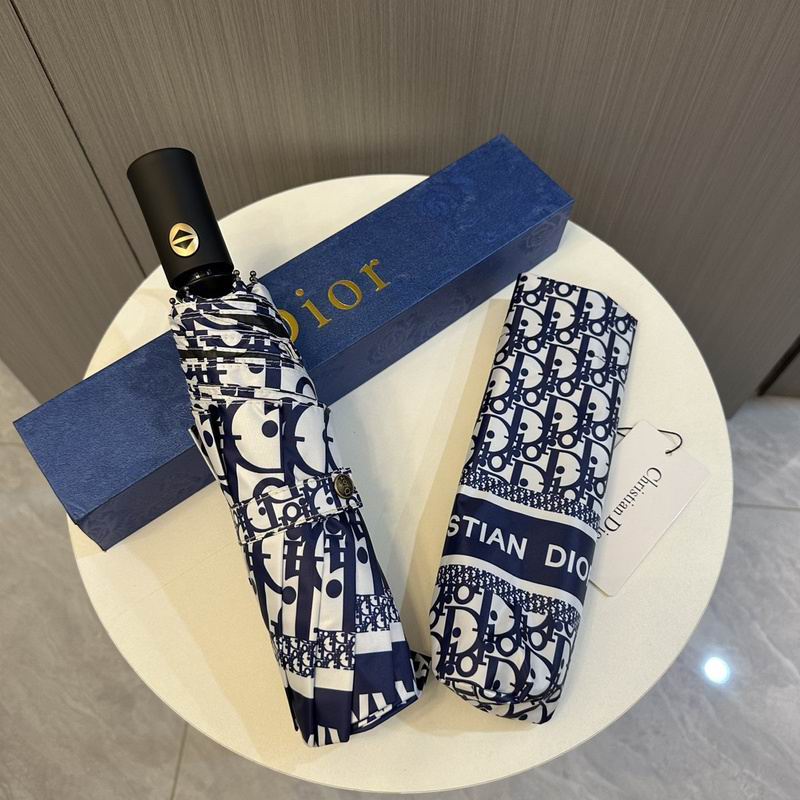 Dior Umbrella hm (85)