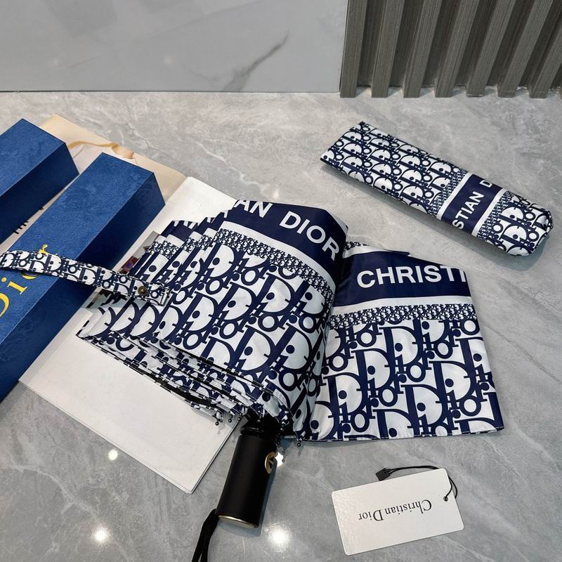 Dior Umbrella hm (86)