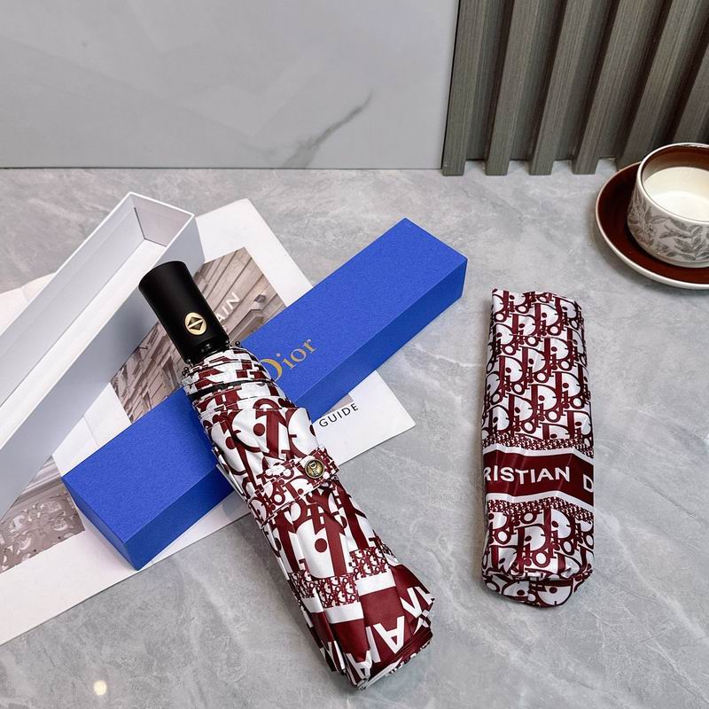 Dior Umbrella hm (88)