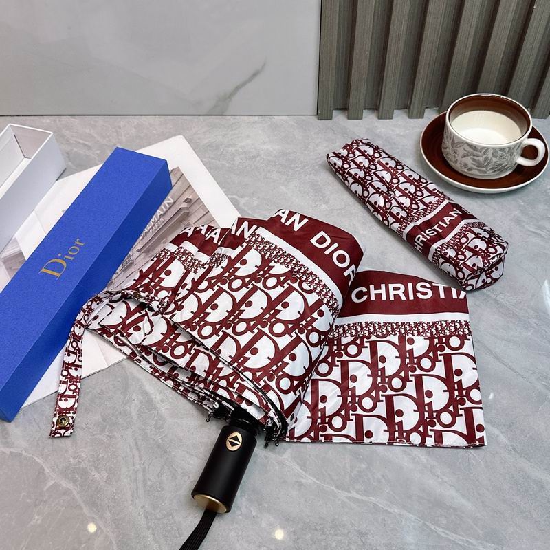 Dior Umbrella hm (89)