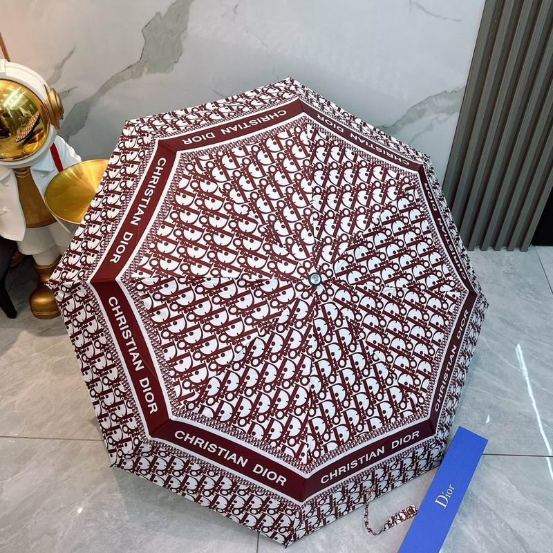 Dior Umbrella hm (90)