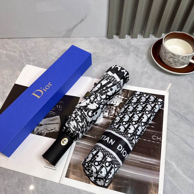 Dior Umbrella hm (91)