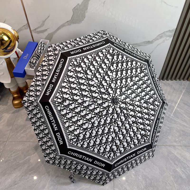 Dior Umbrella hm (93)