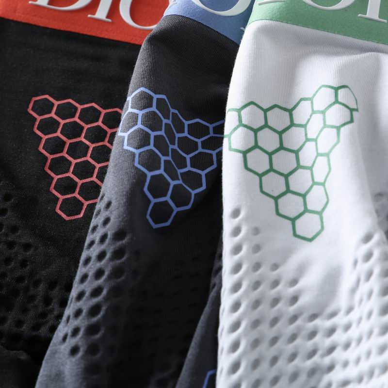 Dior boxer L-4XL 12 (1)