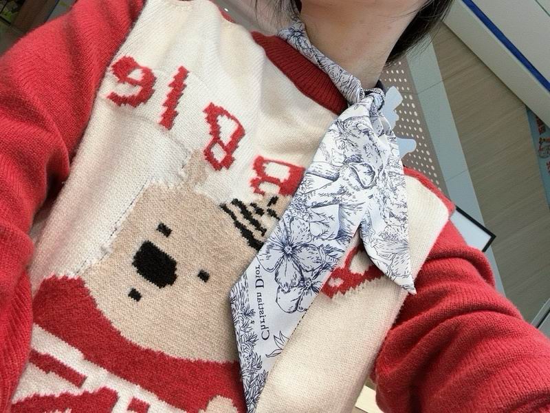 Dior silk ribbon hm (111)