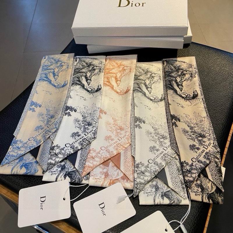 Dior silk ribbon hm (131)