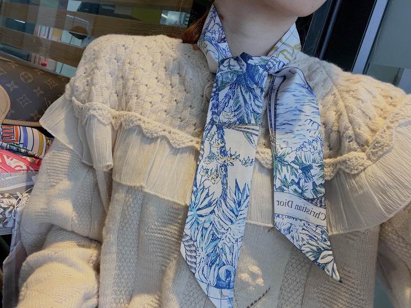 Dior silk ribbon hm (134)