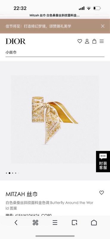 Dior silk ribbon hm (153)