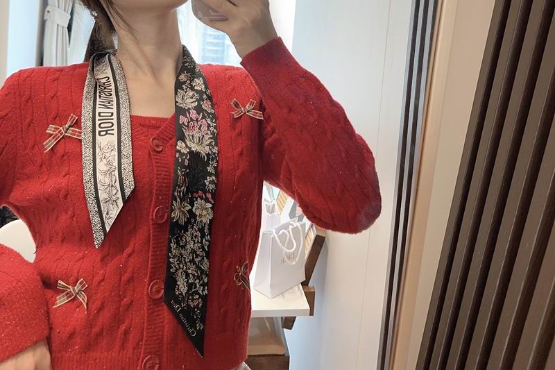 Dior silk ribbon hm (160)