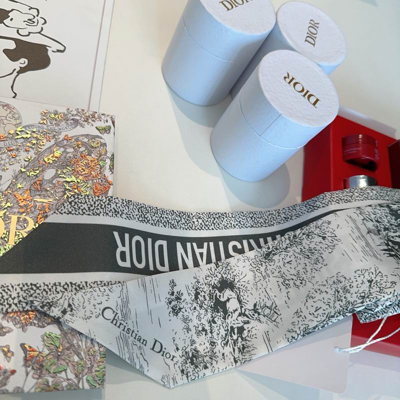 Dior silk ribbon hm (175)