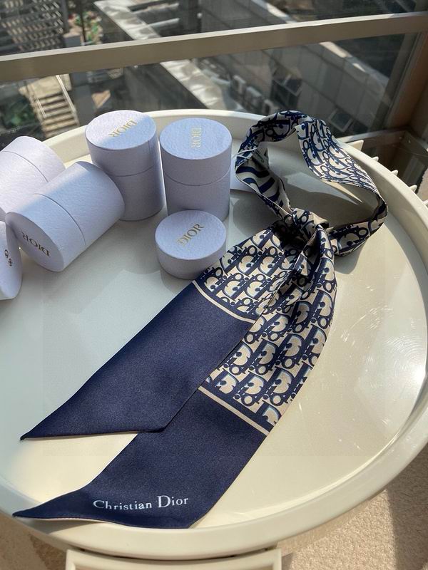 Dior silk ribbon hm (256)