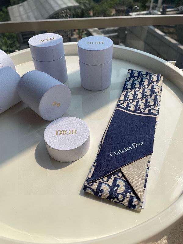 Dior silk ribbon hm (258)