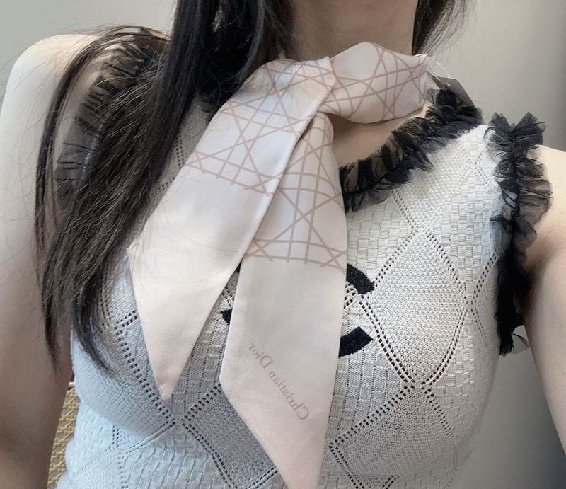 Dior silk ribbon hm (56)