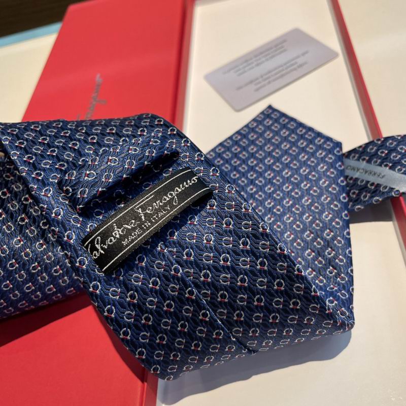 Ferragamo Tie hm (11)