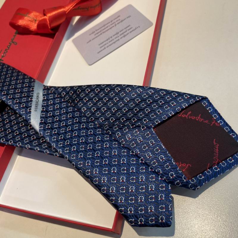 Ferragamo Tie hm (14)