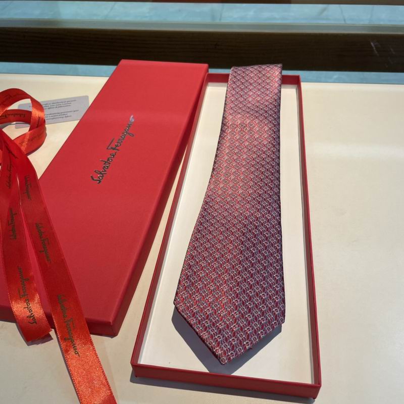 Ferragamo Tie hm (15)