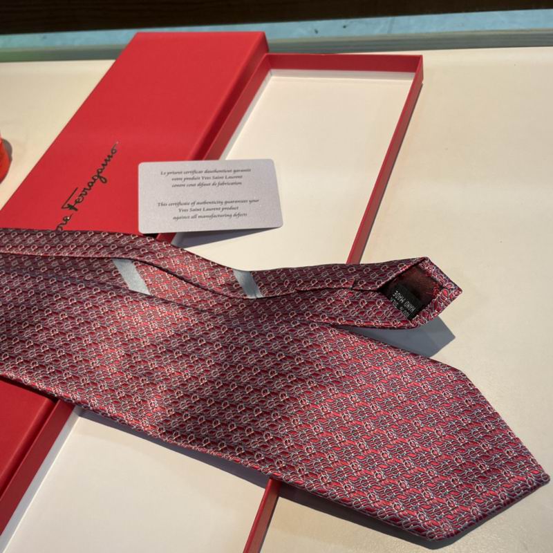 Ferragamo Tie hm (17)