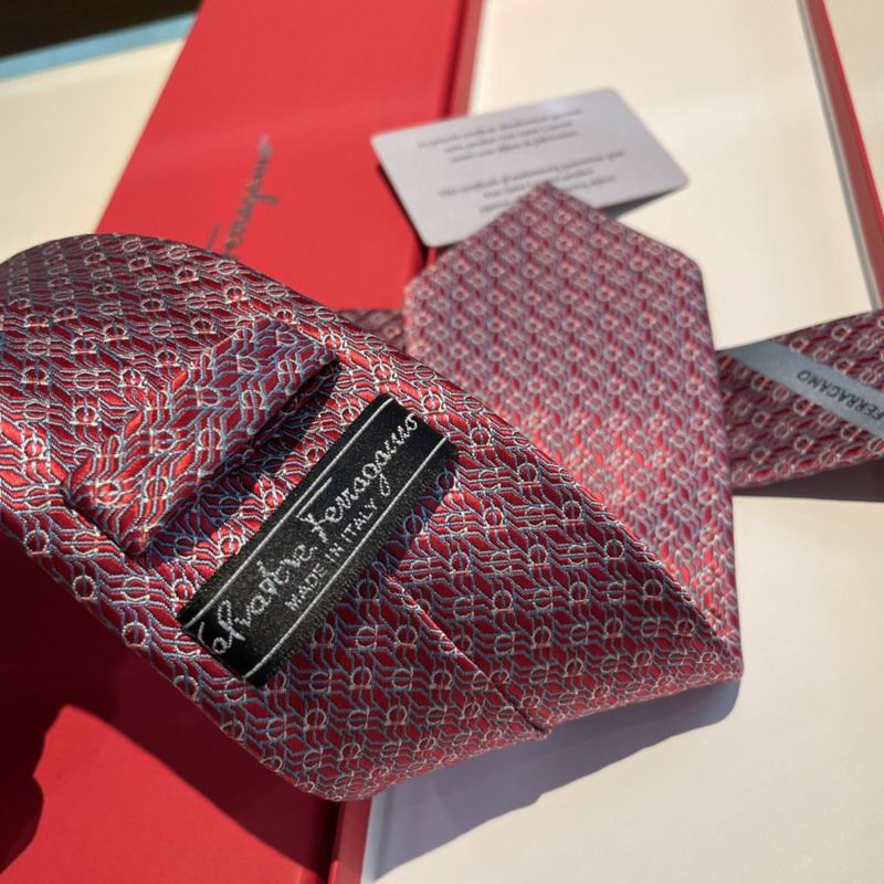 Ferragamo Tie hm (18)