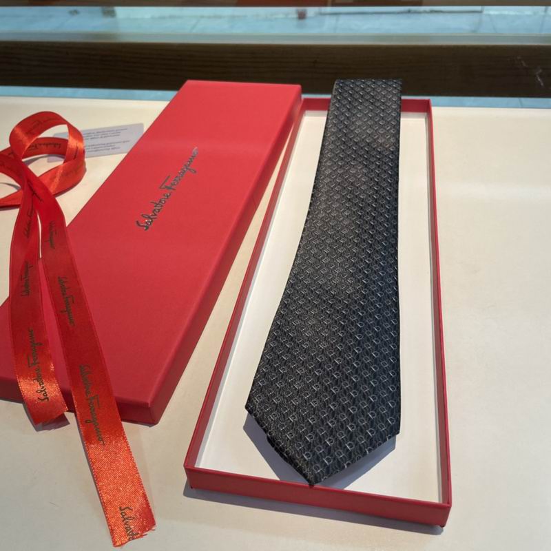 Ferragamo Tie hm (2)