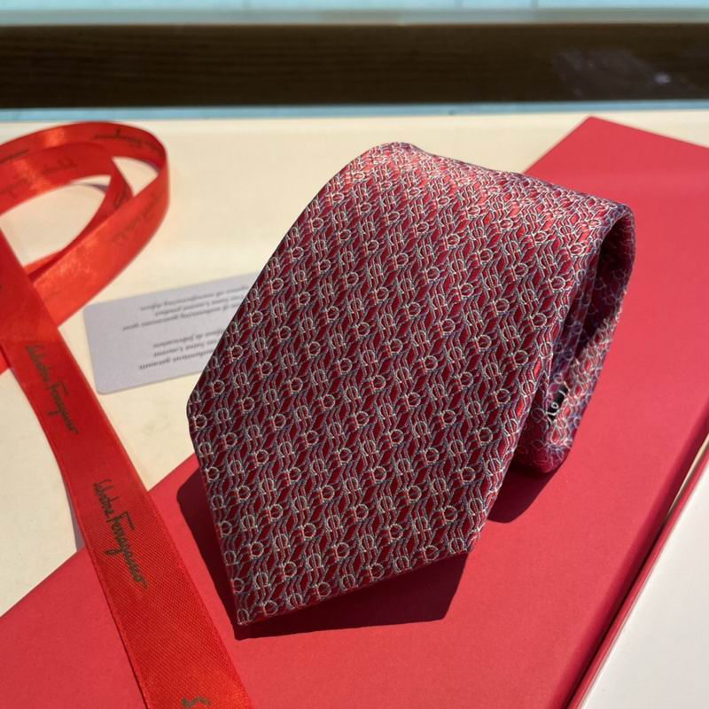 Ferragamo Tie hm (20)