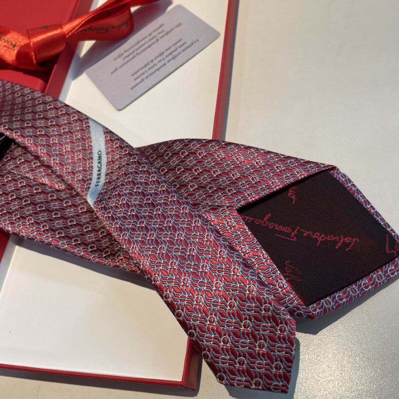 Ferragamo Tie hm (21)