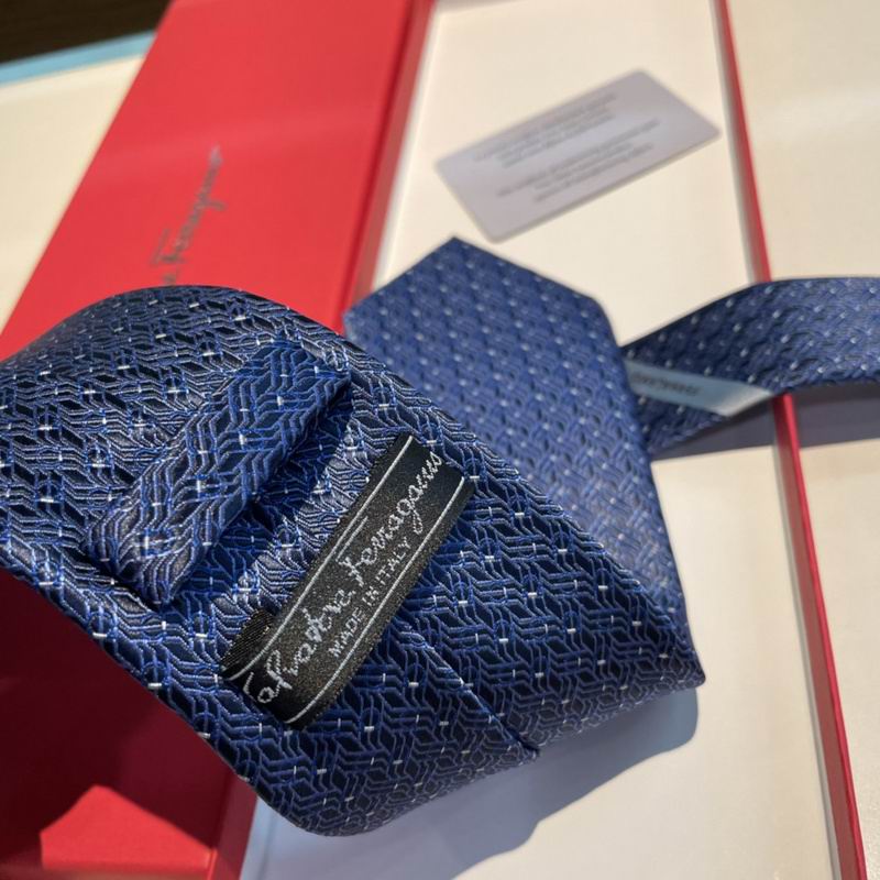 Ferragamo Tie hm (25)