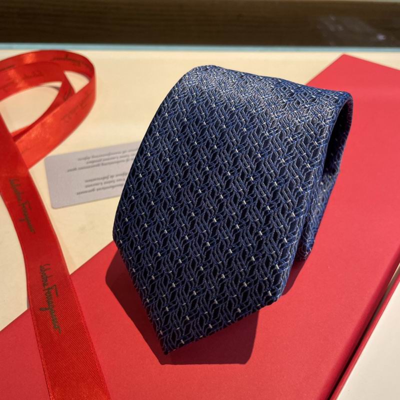Ferragamo Tie hm (27)