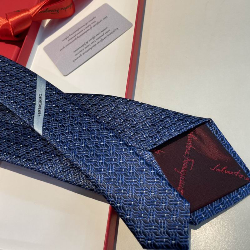 Ferragamo Tie hm (28)