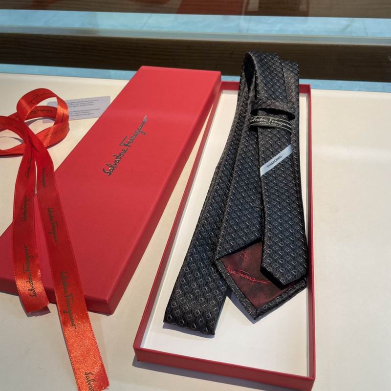 Ferragamo Tie hm (3)
