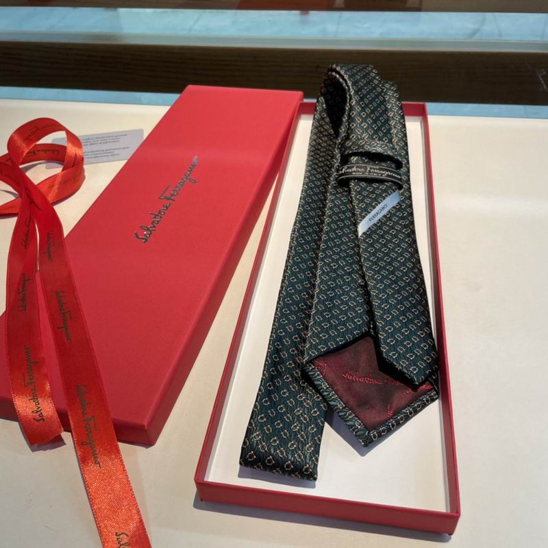 Ferragamo Tie hm (37)