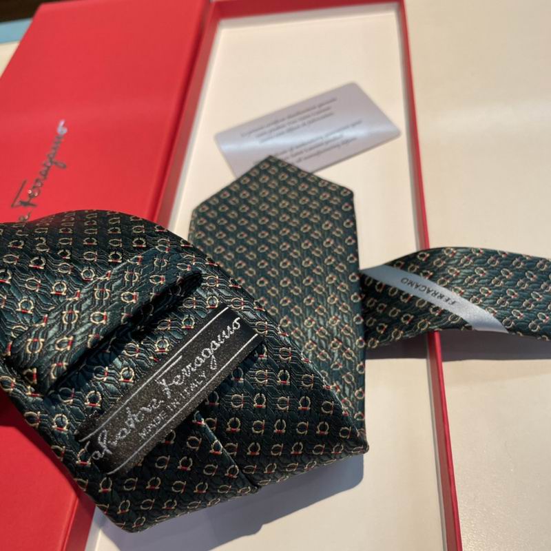 Ferragamo Tie hm (39)