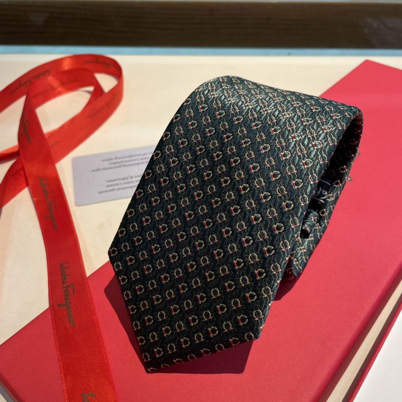 Ferragamo Tie hm (41)