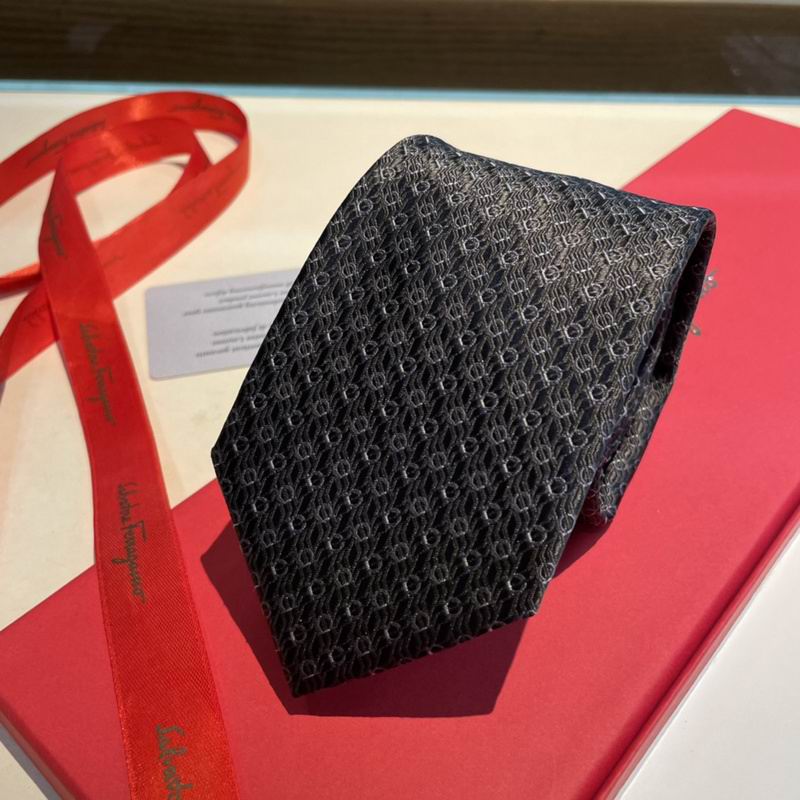 Ferragamo Tie hm (7)