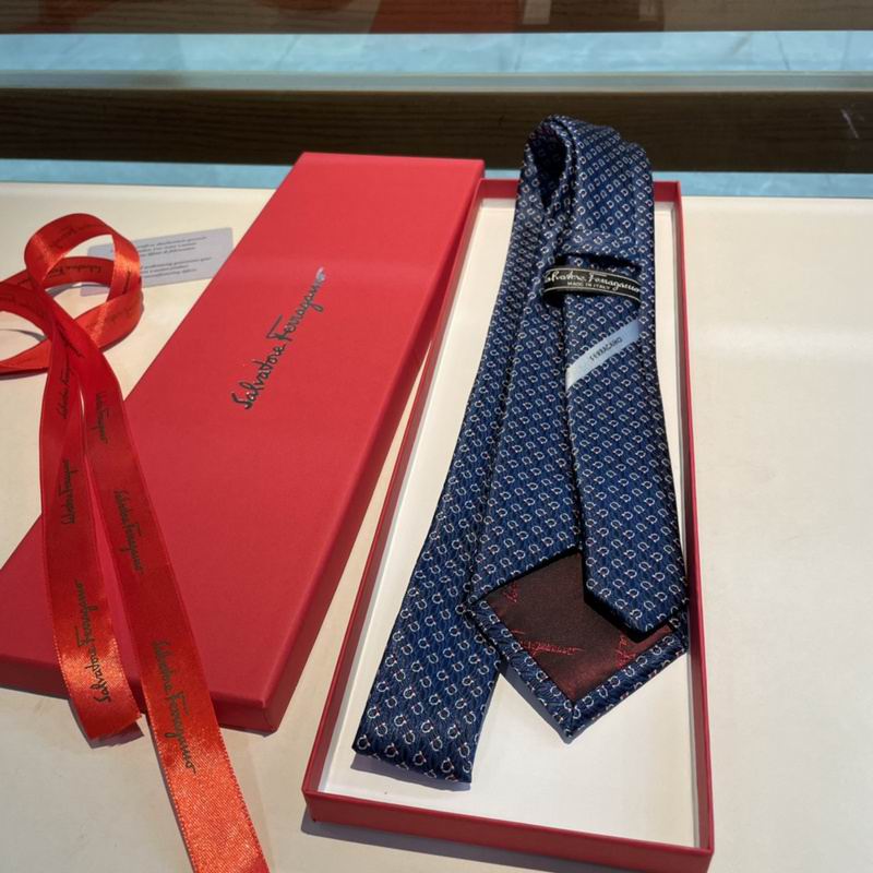 Ferragamo Tie hm (9)